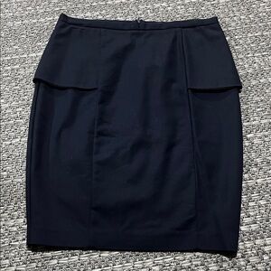 Zara | Navy Blue Skirt